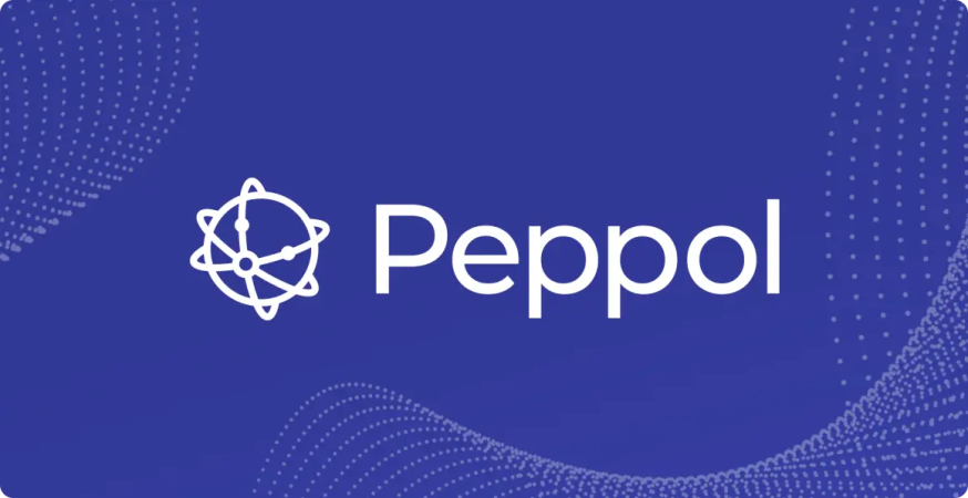 Peppol چیست و چگونه کار می‌کند؟