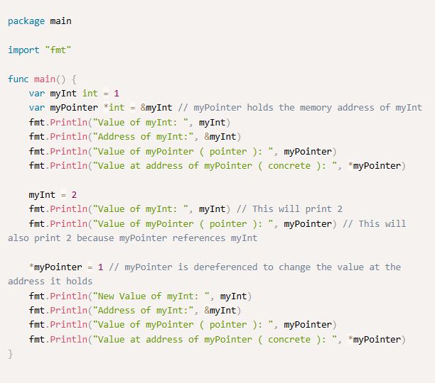 pointerها چگونه مدلسازی ساختارهای داده پیچیده در golang با استفاده از pointerها، referenceها و reverse indexها کار میکند؟